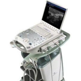 Esaote MyLab 30 ultrasound machine on a cart